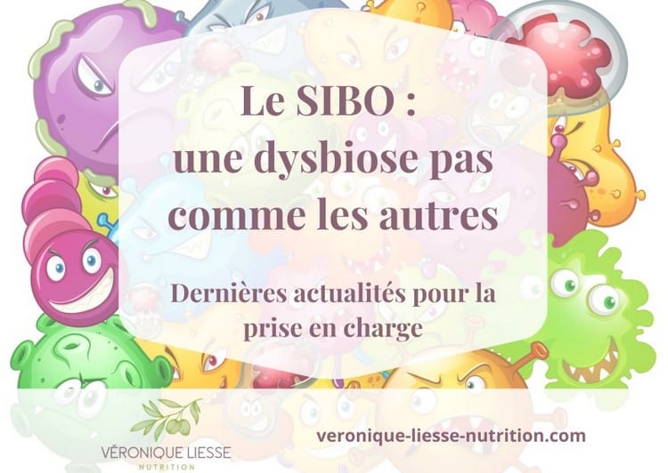 Le SIBO une dysbiose pas comme les autres