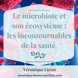 Formation Microbiote et son ecosysteme