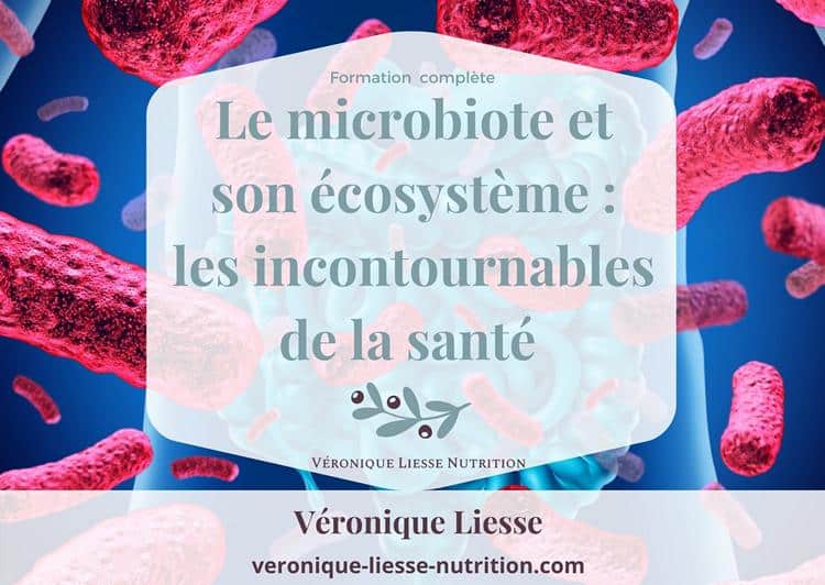 Formation Microbiote et son ecosysteme